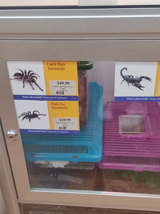 Pet Supermarket 10