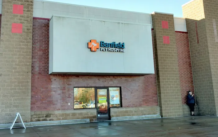 Banfield Pet Hospital 1