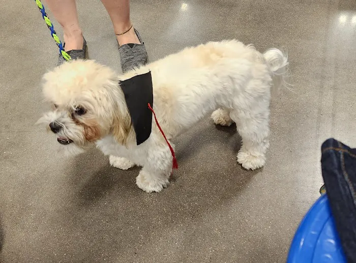 Banfield Pet Hospital 6