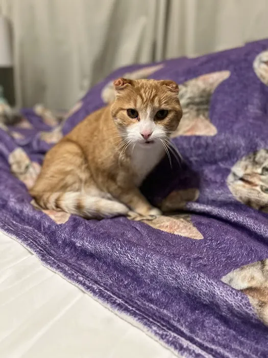 Vetco Total Care Animal Hospital 12