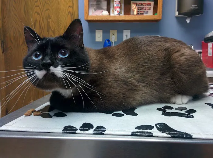 Scenic Hills Animal Hospital 6