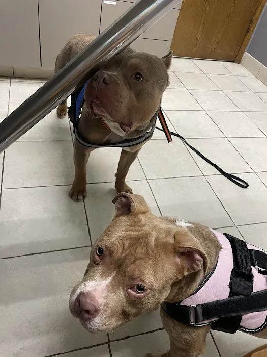 Scenic Hills Animal Hospital 1
