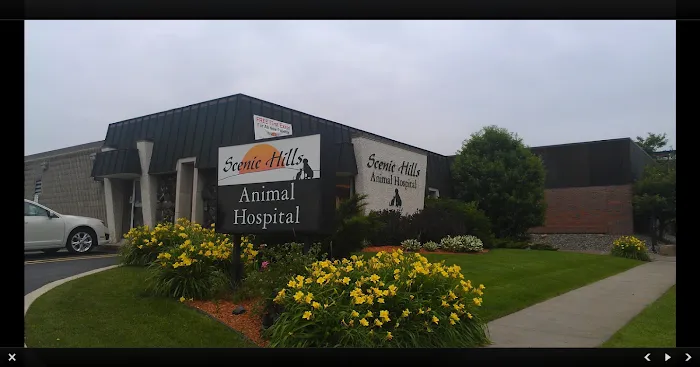 Scenic Hills Animal Hospital 10