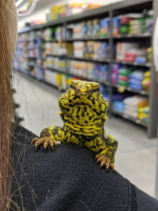 Pet Supplies Plus Port Charlotte 12