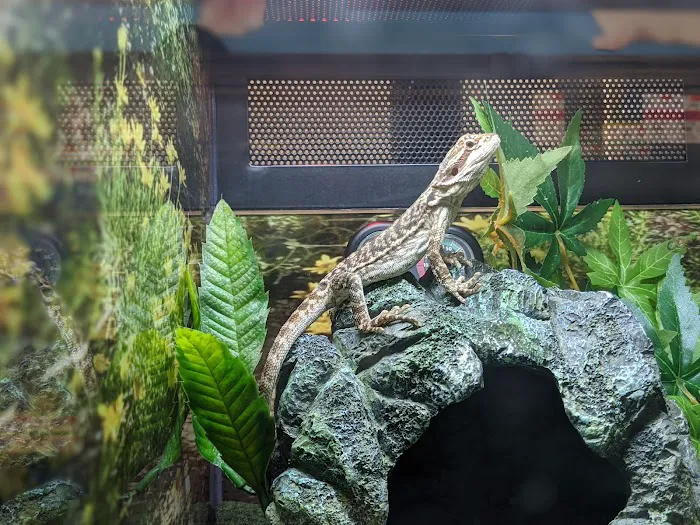 Pet Supplies Plus Port Charlotte 12