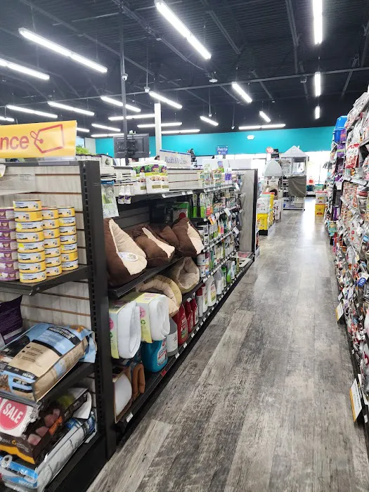 Pet Supermarket 4