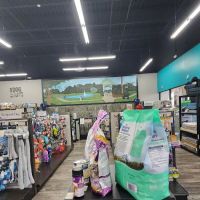 Pet Supermarket ico