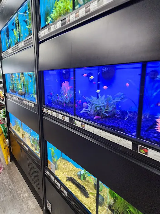 Pet Supermarket 5