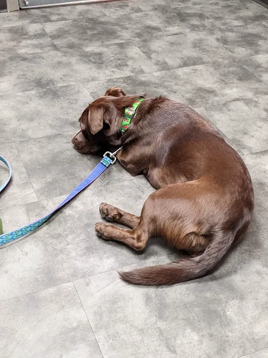 Southview Animal Hospital 12