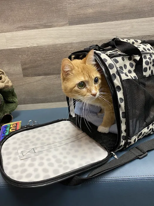 Southview Animal Hospital 12