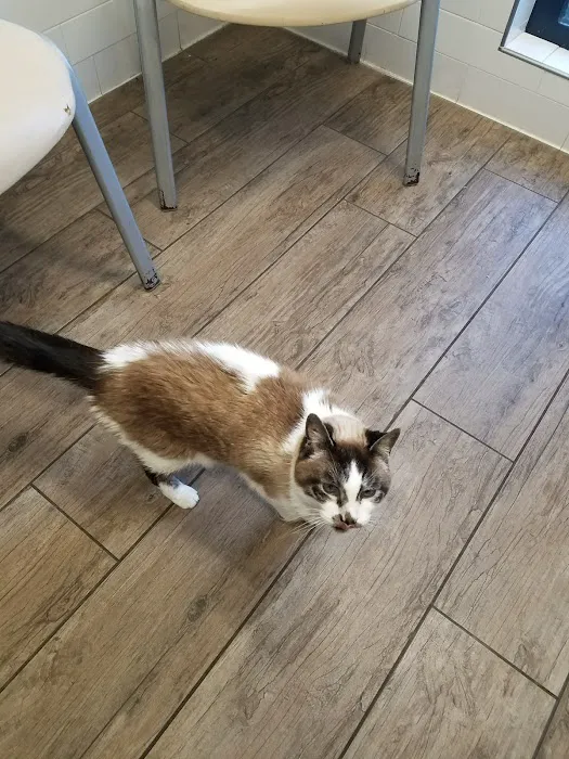 Skadron Animal Hospital 12