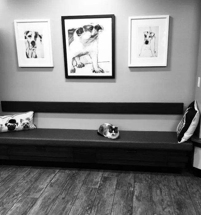 Skadron Animal Hospital 12