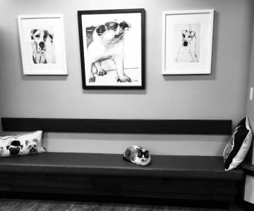 Skadron Animal Hospital