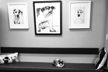 Skadron Animal Hospital