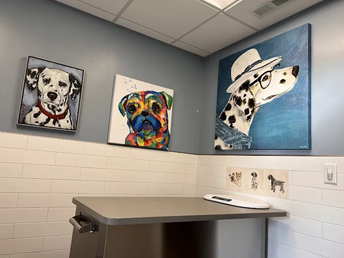 Skadron Animal Hospital 12
