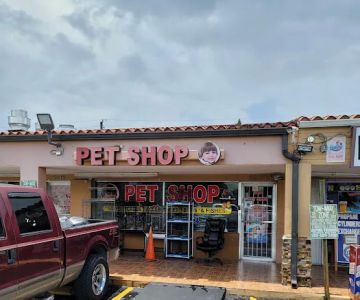 Pet Shop
