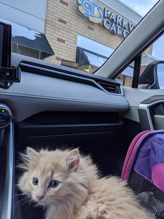Parkview Cat Clinic 12