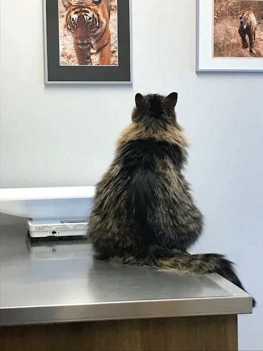 Parkview Cat Clinic 12
