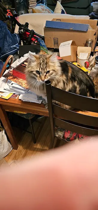 Parkview Cat Clinic 12
