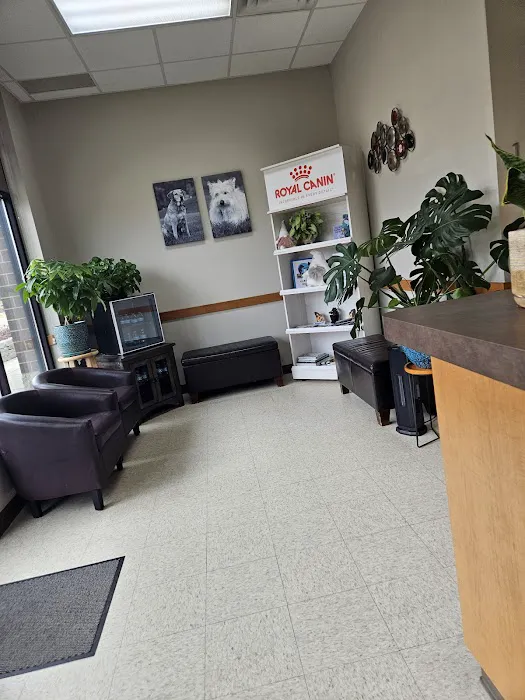 McKeever Dermatology Clinics 12