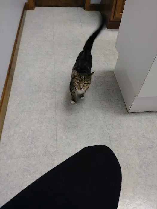 Defiance Veterinary Clinic 12