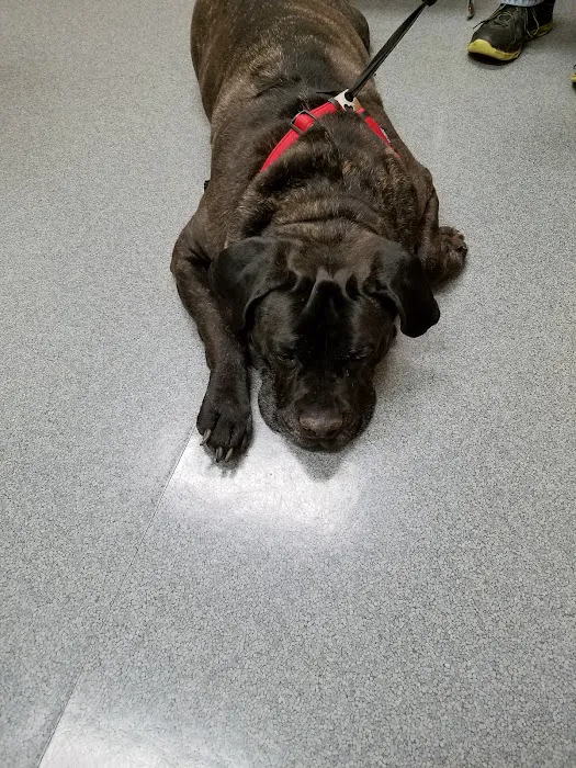 Defiance Veterinary Clinic 12
