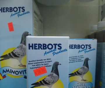 H & E Pet Shop