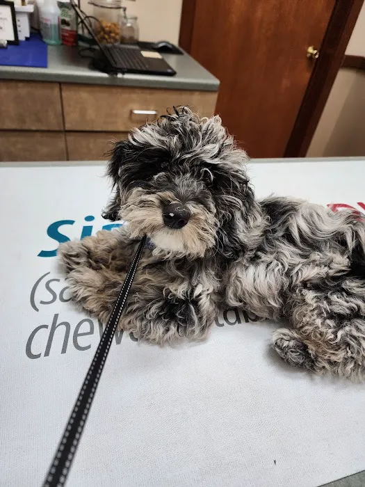 Animal Clinic of Van Wert 4