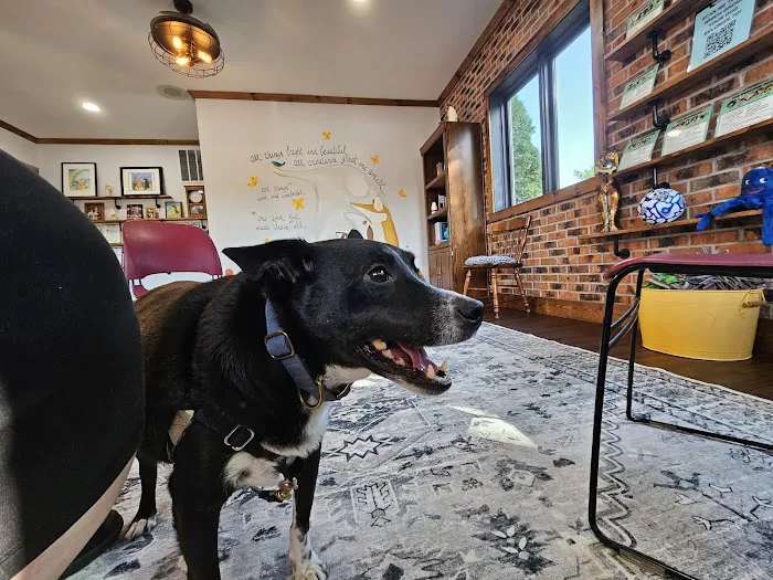 Quinn Veterinary Clinic and Behavior Center 12