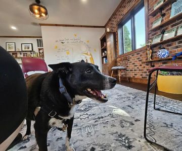Quinn Veterinary Clinic and Behavior Center