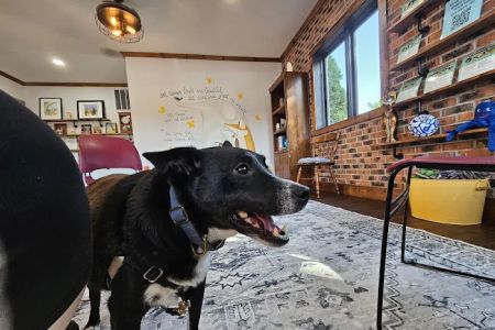 Quinn Veterinary Clinic and Behavior Center
