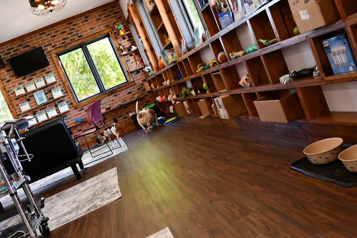 Quinn Veterinary Clinic and Behavior Center 12