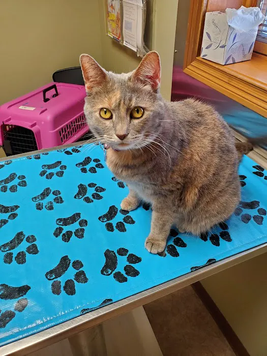 Huntington Veterinary Hospital 12