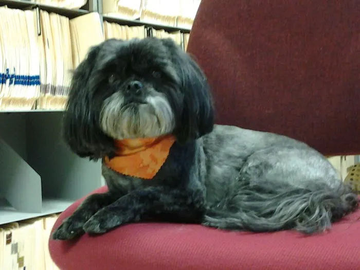 Huntington Veterinary Hospital 12