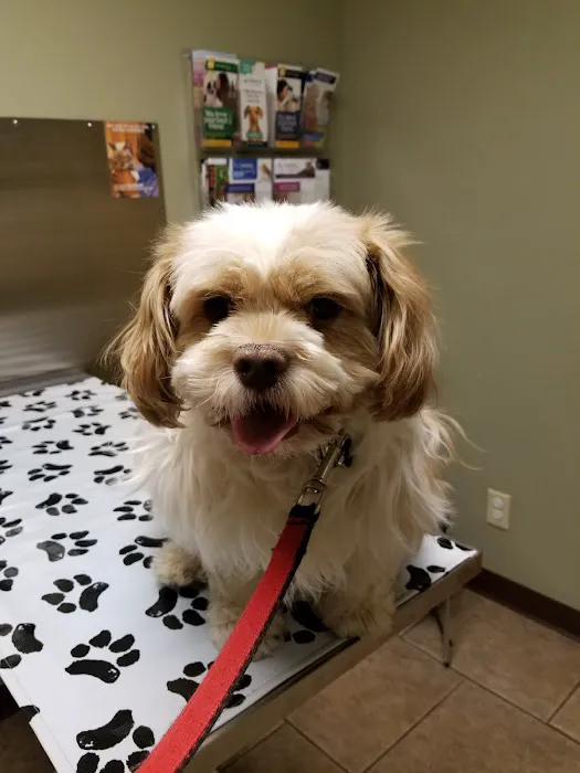 Huntington Veterinary Hospital 12