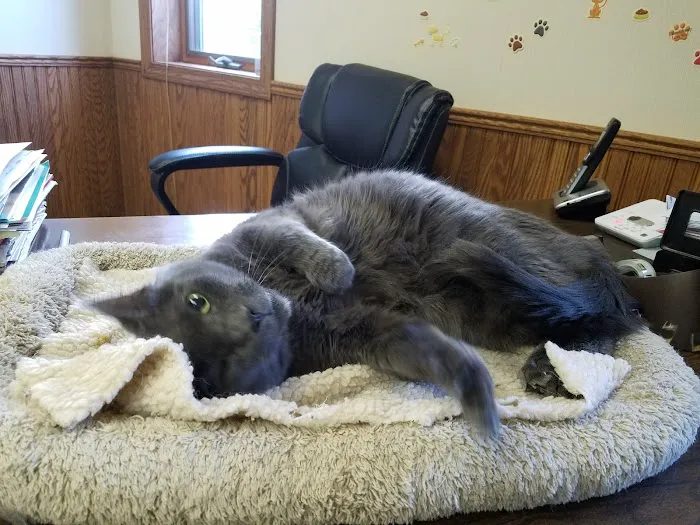 Archbold Animal Hospital 4