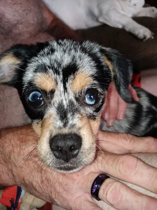 Hillcrest Vet Clinic 3