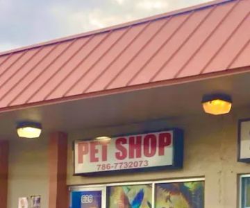 Jungle Pet Shop