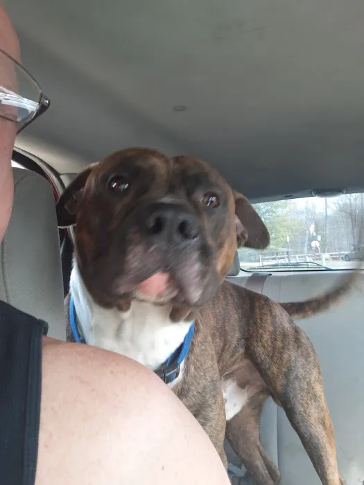 Lane Veterinary Services LLC 7