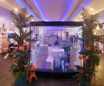 Seven Seas Aquatics