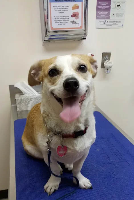 Tekonsha Animal Hospital 5