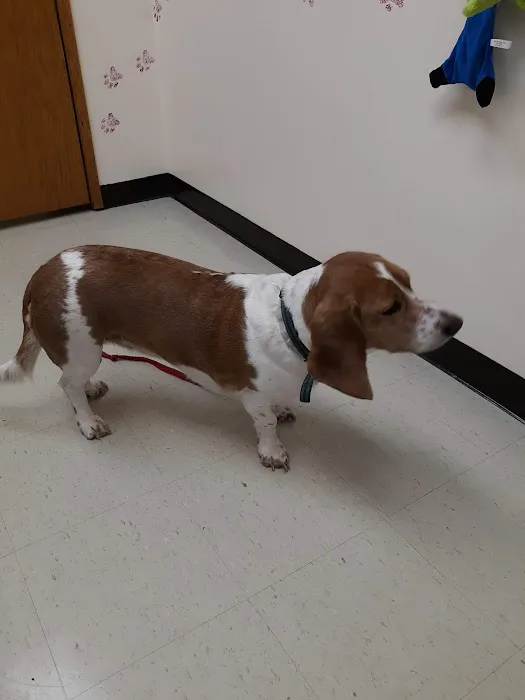 Tekonsha Animal Hospital 10