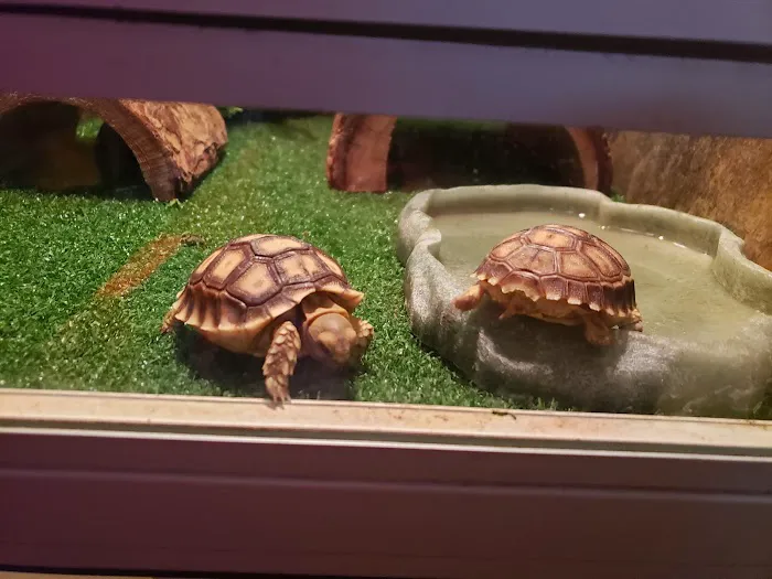 Discount Pets & Supplies 8