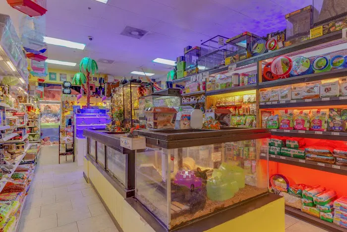 Discount Pets & Supplies 1