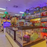 Discount Pets & Supplies ico