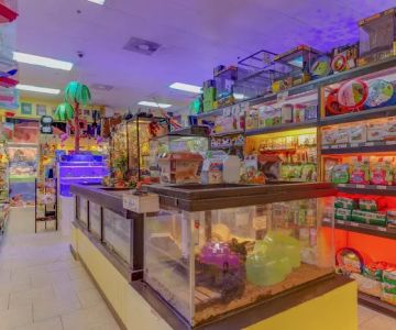 Discount Pets & Supplies