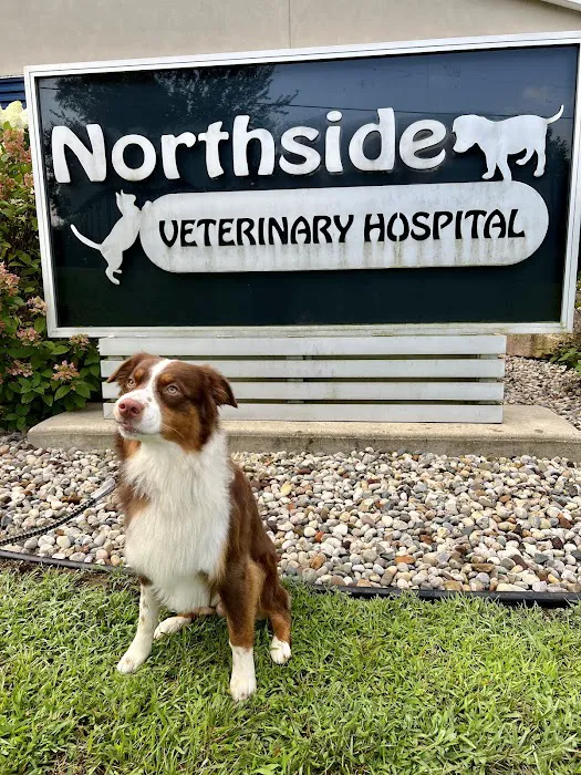 Northside Veterinary Hospital 4