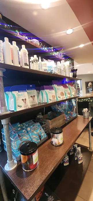Northside Veterinary Hospital 5