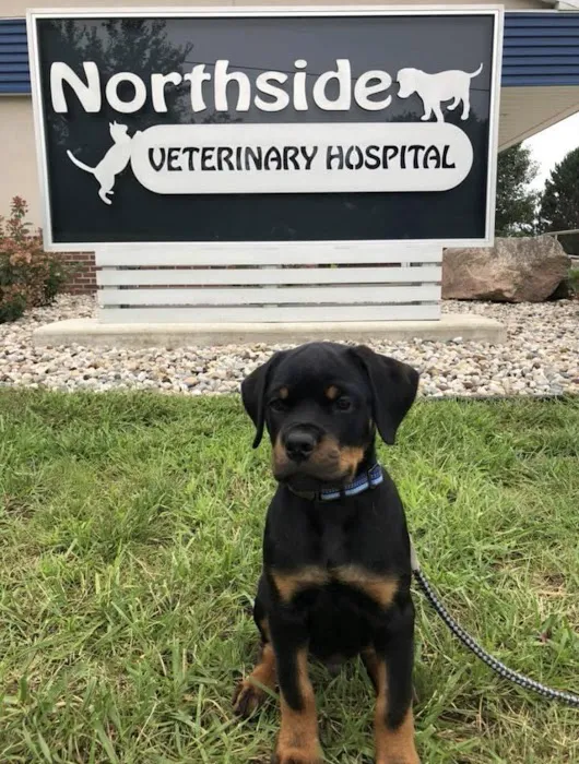 Northside Veterinary Hospital 6