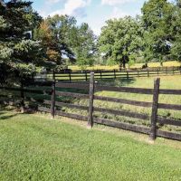 Oakdale Large Animal Clinic ico